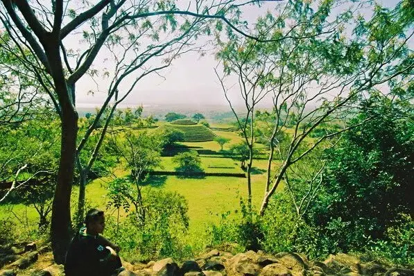 Vista panorámica de los Guachimontones entre árboles, mostrando las pirámides circulares y plataformas en el paisaje de Jalisco.
