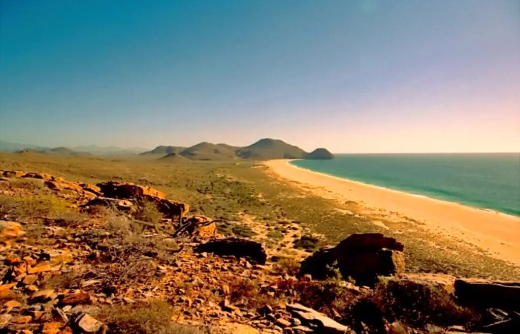Playas de Todos Santos BCS