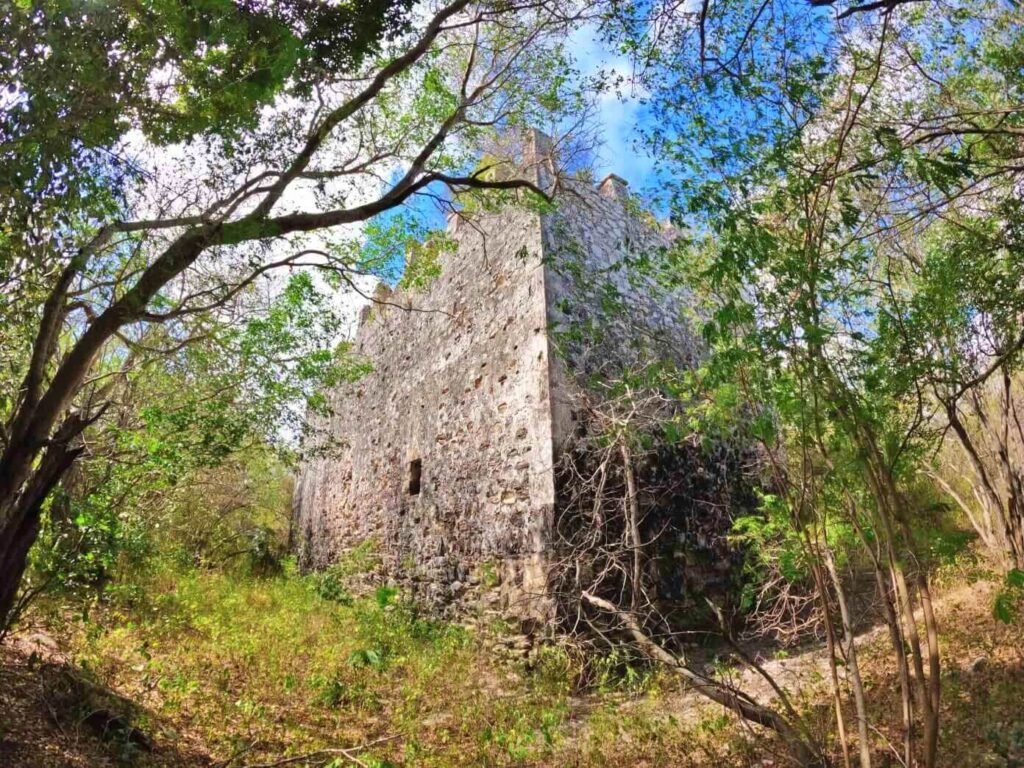 Estructura de piedra cubierta por la selva en las ruinas de Boca Iglesia.