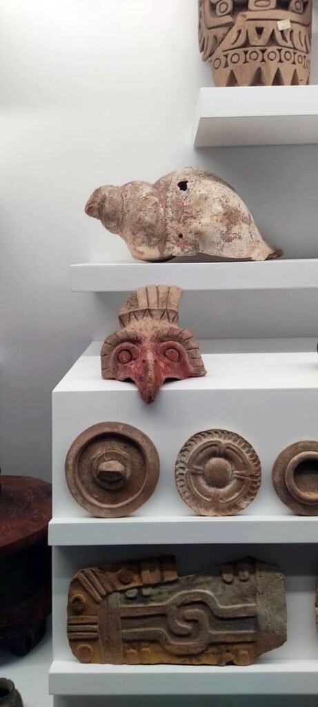 Vitrina de repisas blancas con piezas arqueológicas: una concha grande, una máscara con pico, discos circulares y un relieve rectangular en la parte inferior.