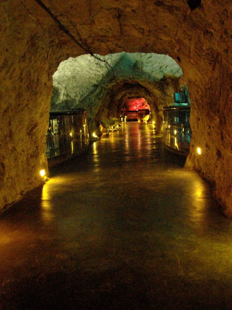 Túnel principal de la Mina del Edén con iluminación ambiental y vitrinas minerales a los costados.
