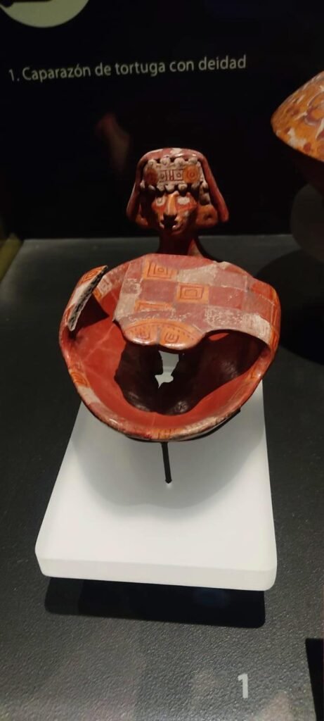 Caparazón de tortuga decorado con una deidad, exhibido en el Museo del Templo Mayor.