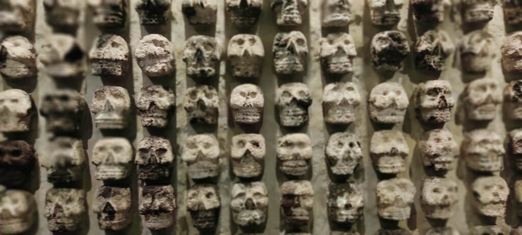 Detalle del Tzompantli del Museo del Templo Mayor