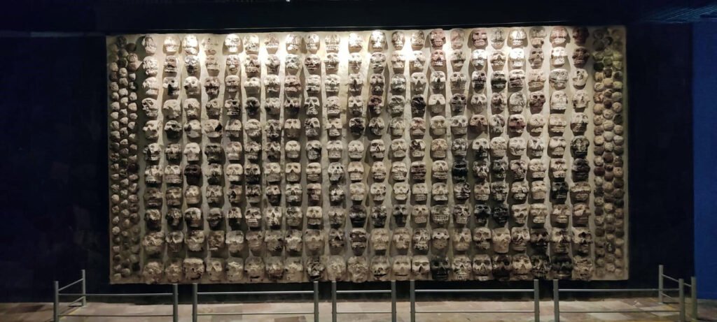 Vista general del gran muro con múltiples cráneos exhibido en el Museo del Templo Mayor.
