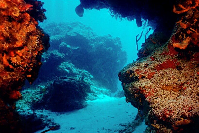 Paso coralino del arrecife Paso del Cedral, con formaciones calcáreas  y fondo arenoso iluminado por luz natural.