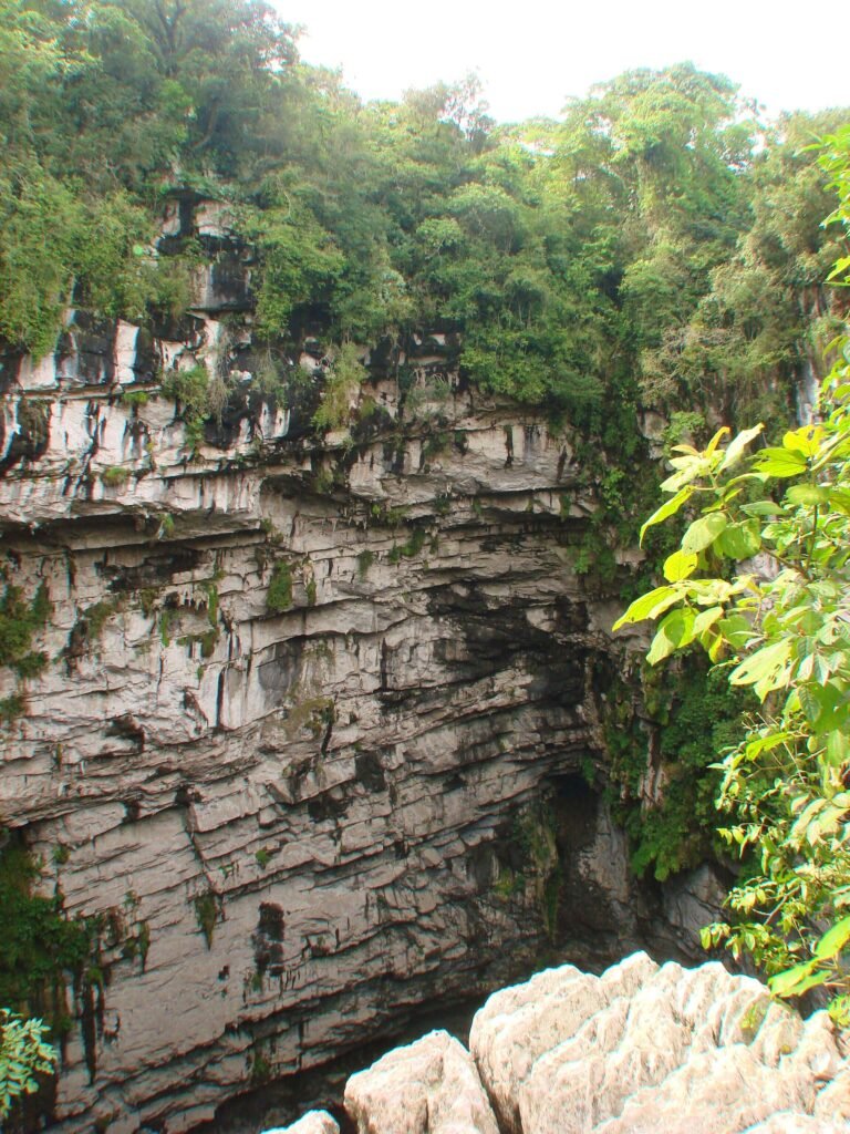 Vista panorámica del Sótano de las Golondrinas, un abismo natural rodeado de selva en San Luis Potosí.