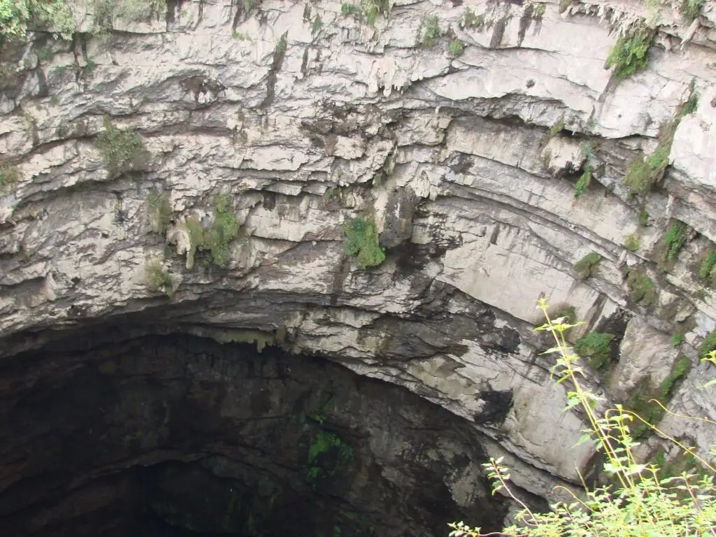 Capas geológicas de roca caliza en las paredes internas del Sótano de las Golondrinas, San Luis Potosí.