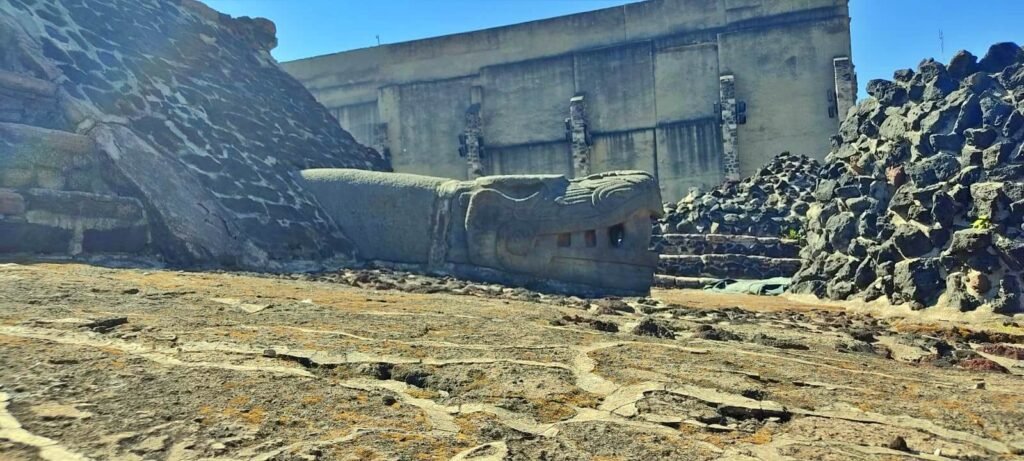 Escultura de cabeza de serpiente en piedra a ras de suelo junto a muros de tezontle en el Templo Mayor, CDMX.