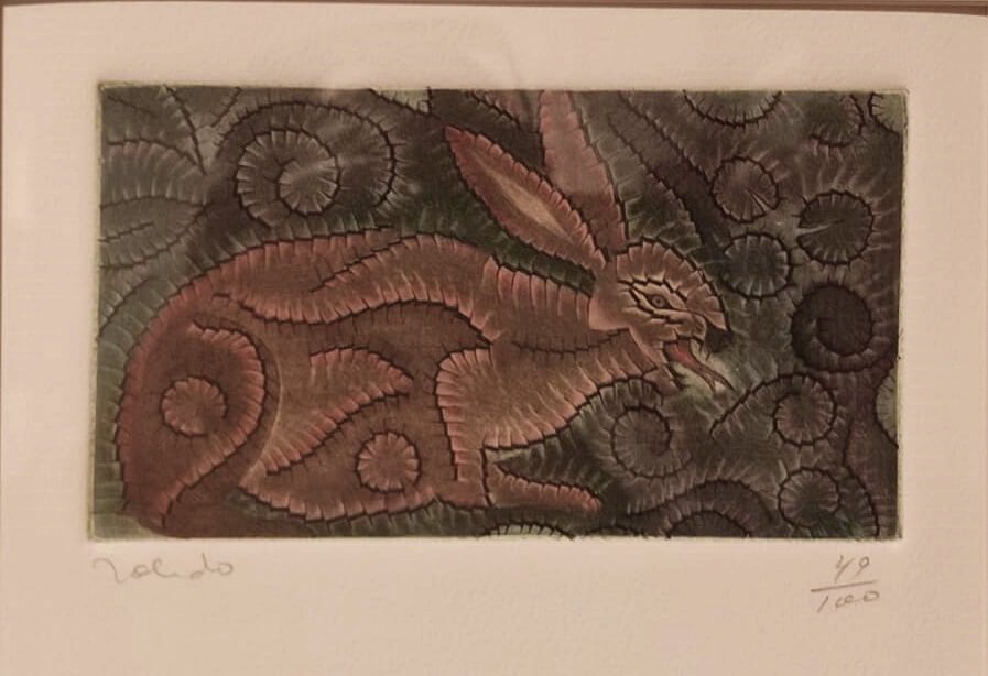 Grabado que representa a un conejo de Francisco Toledo.