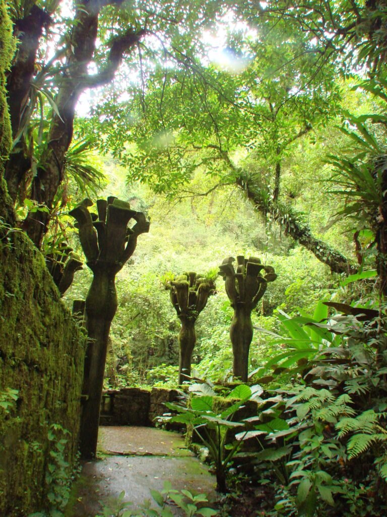 Conjunto de columnas tipo flor emergiendo del suelo en el Jardín surrealista de Edward James.