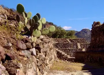 Sendero arqueológico de Yagul entre muros de piedra y nopales, integrado al paisaje semiárido.